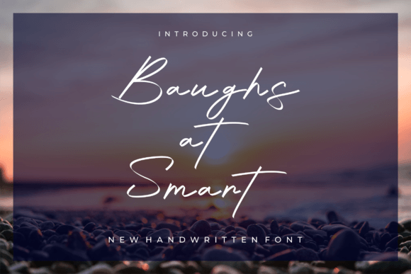 Baughs at Smart: A Review for Campaign Designers